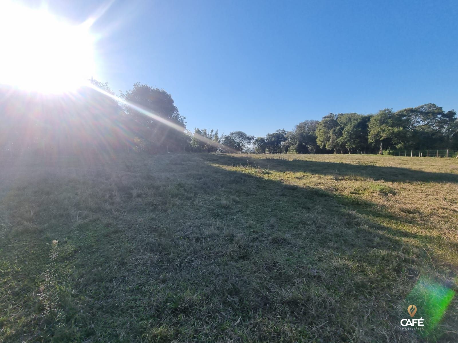 Terreno, 7000 m² - Foto 7