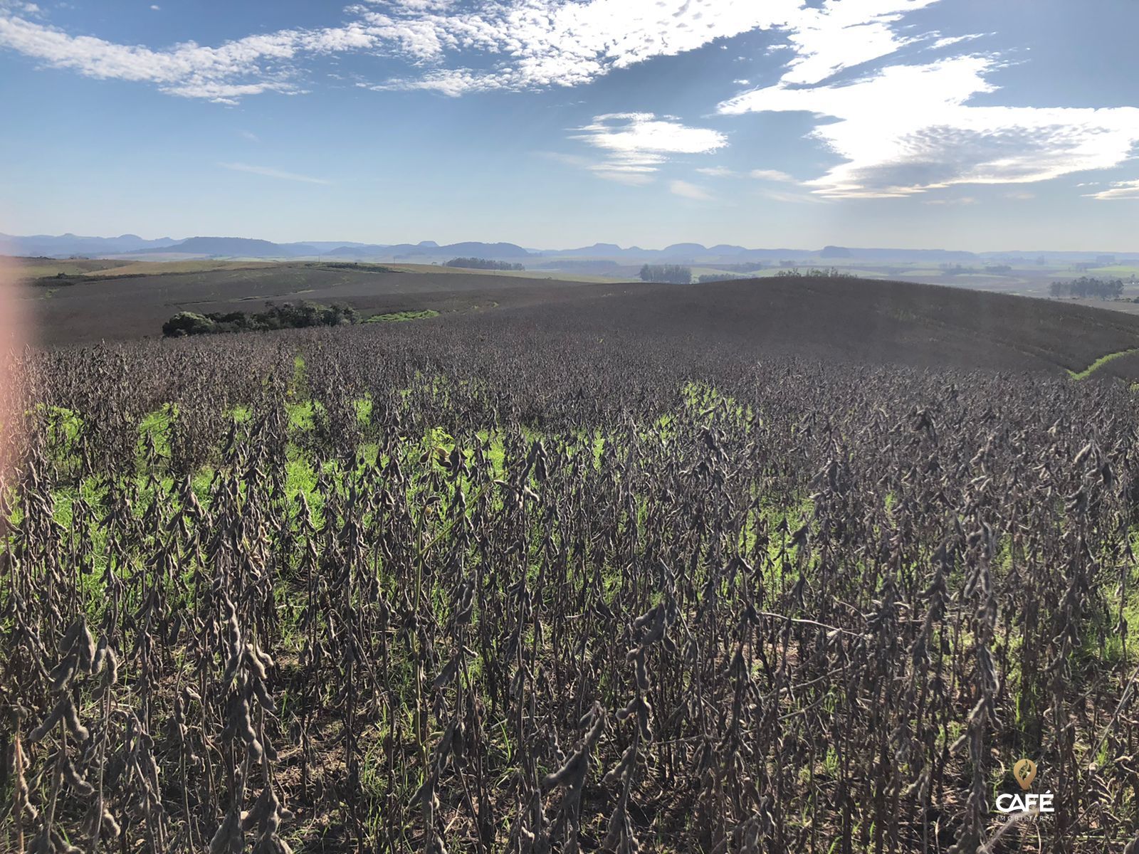 Loteamento e Condomínio à venda, 19000000000m² - Foto 4