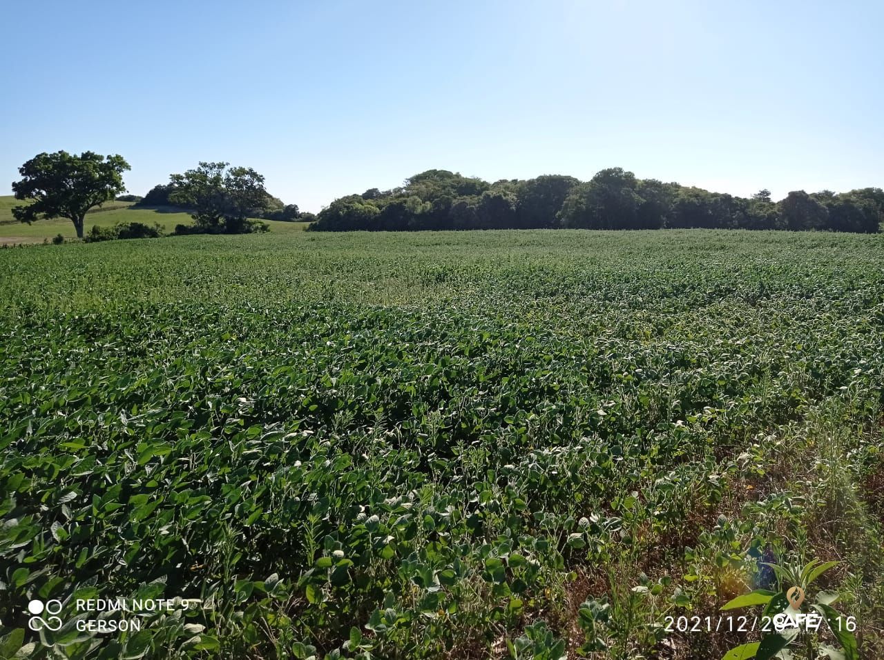 Fazenda à venda, 580000000m² - Foto 4