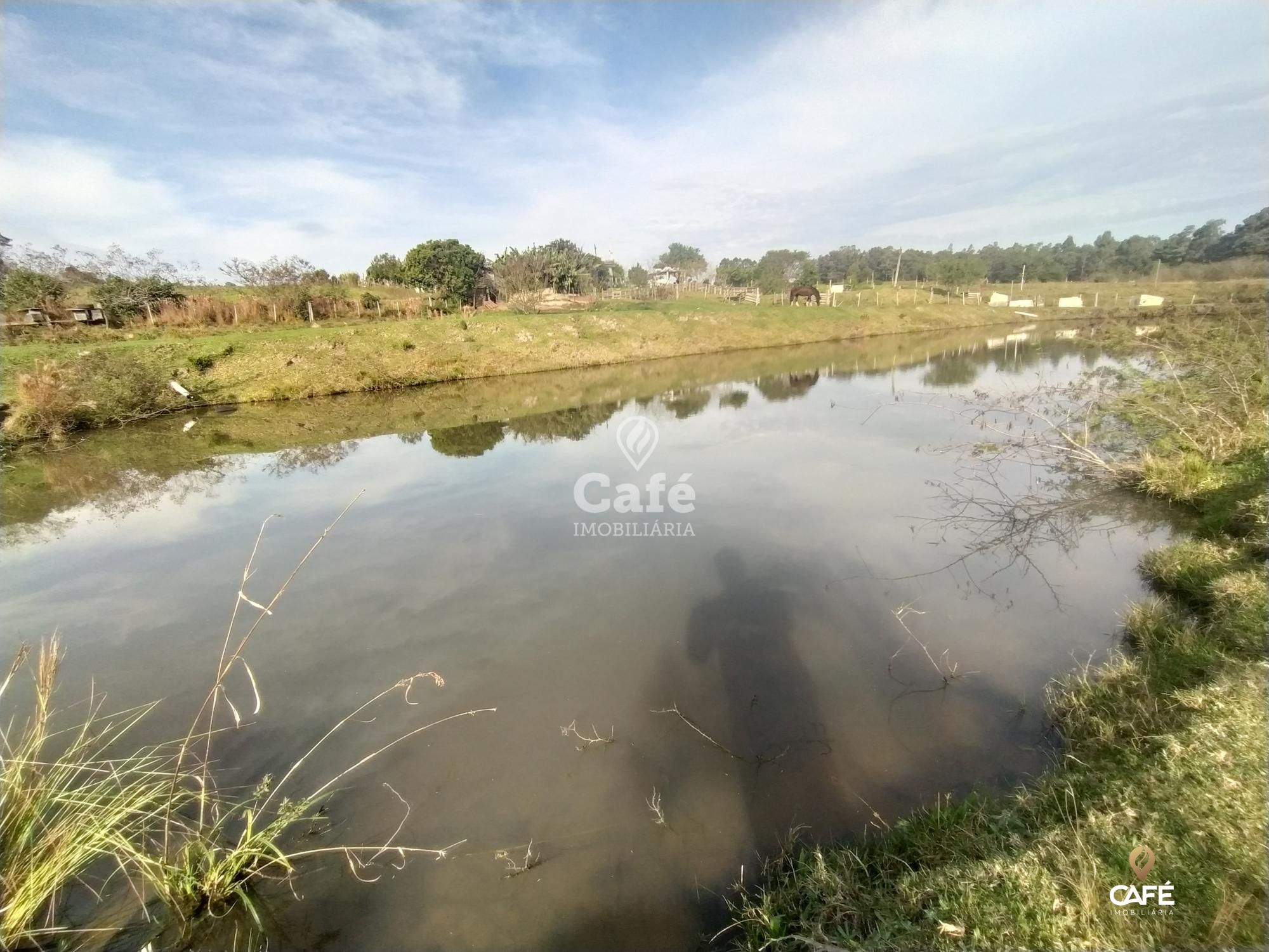 Fazenda à venda com 2 quartos, 182m² - Foto 6