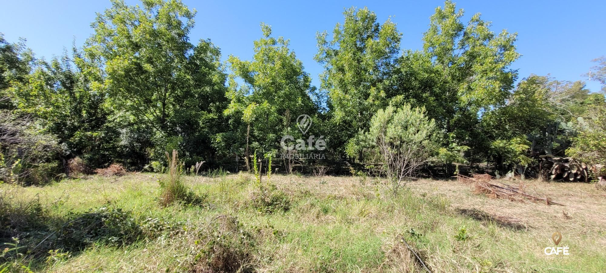 Terreno, 3758 m² - Foto 7