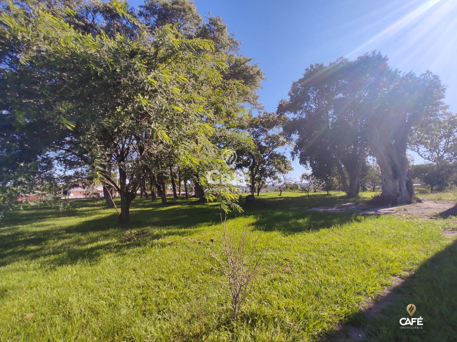 Terreno, 1000 m² - Foto 2