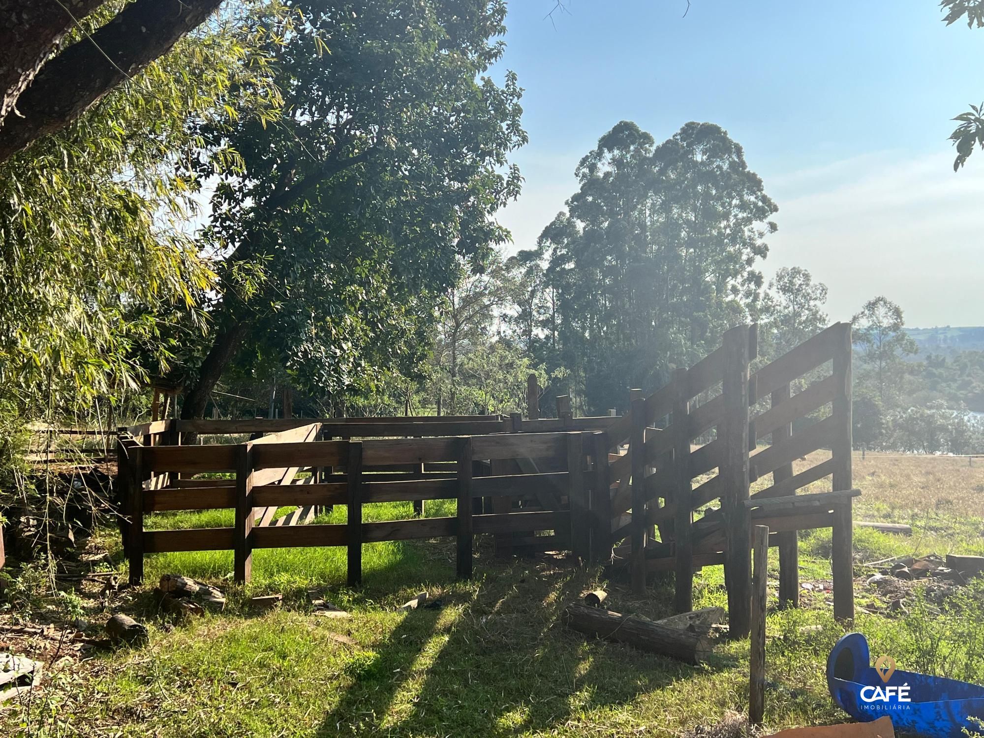 Chácara, 4 hectares - Foto 6