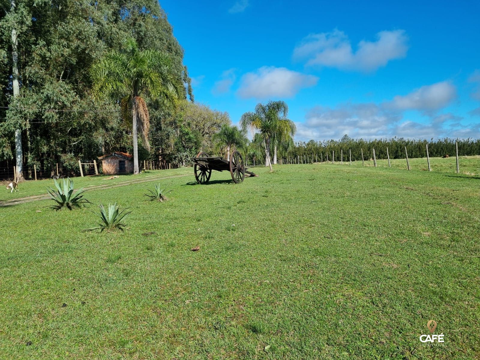 Fazenda à venda com 3 quartos, 200m² - Foto 16