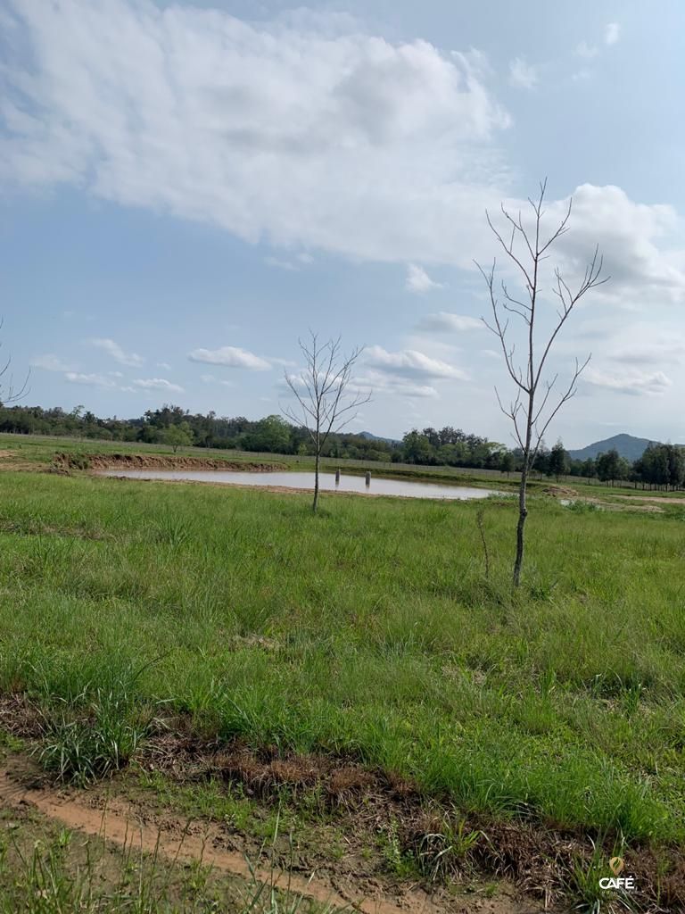 Sítio à venda com 3 quartos, 600m² - Foto 20