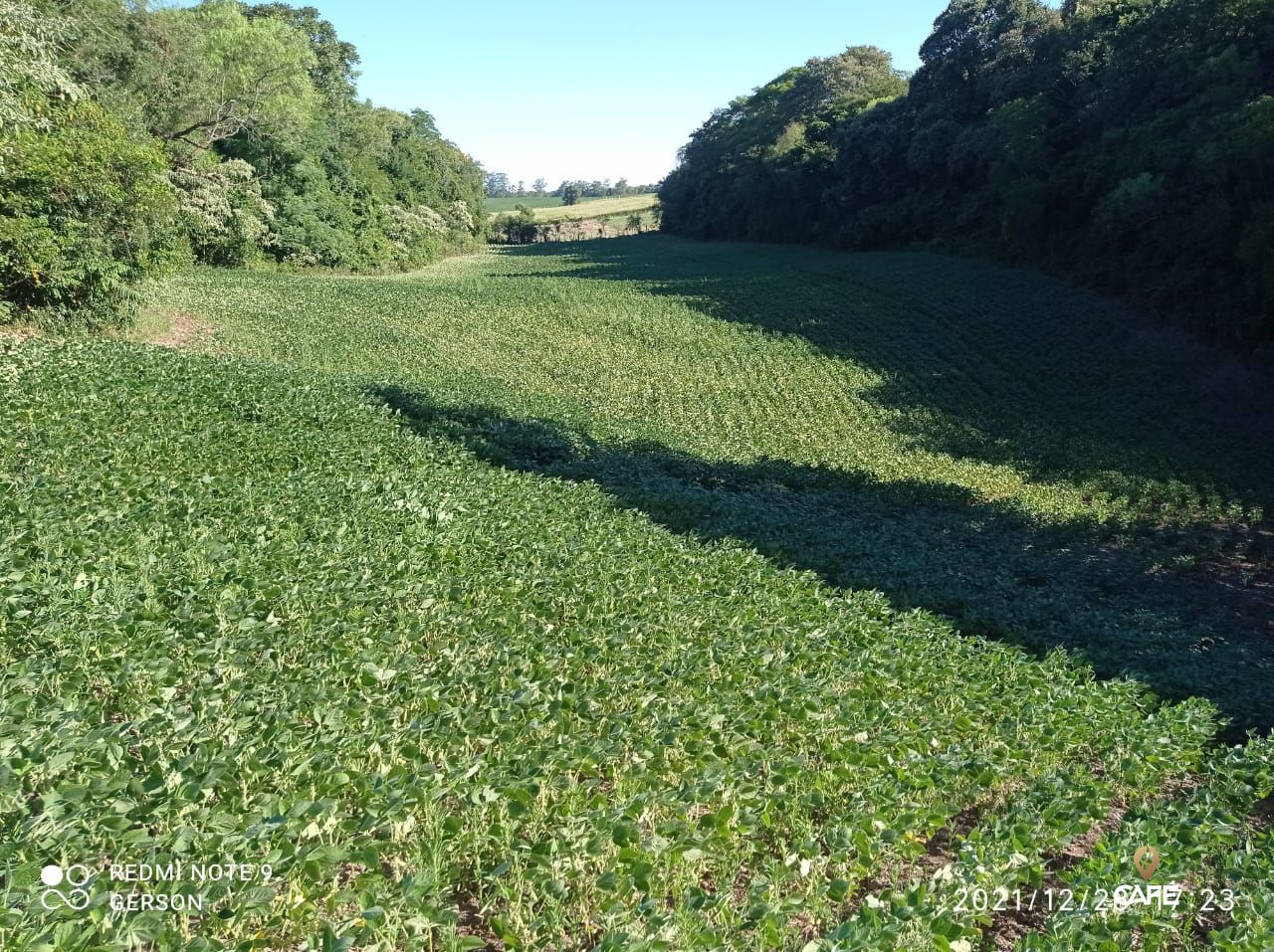 Fazenda à venda, 830000000m² - Foto 1