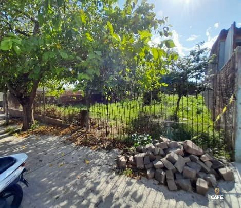 Terreno, 516 m² - Foto 3