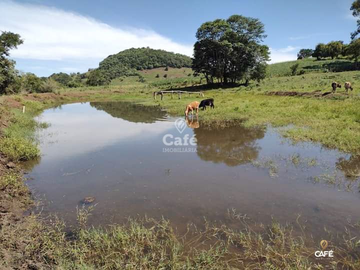 Loteamento e Condomínio à venda, 13000m² - Foto 6