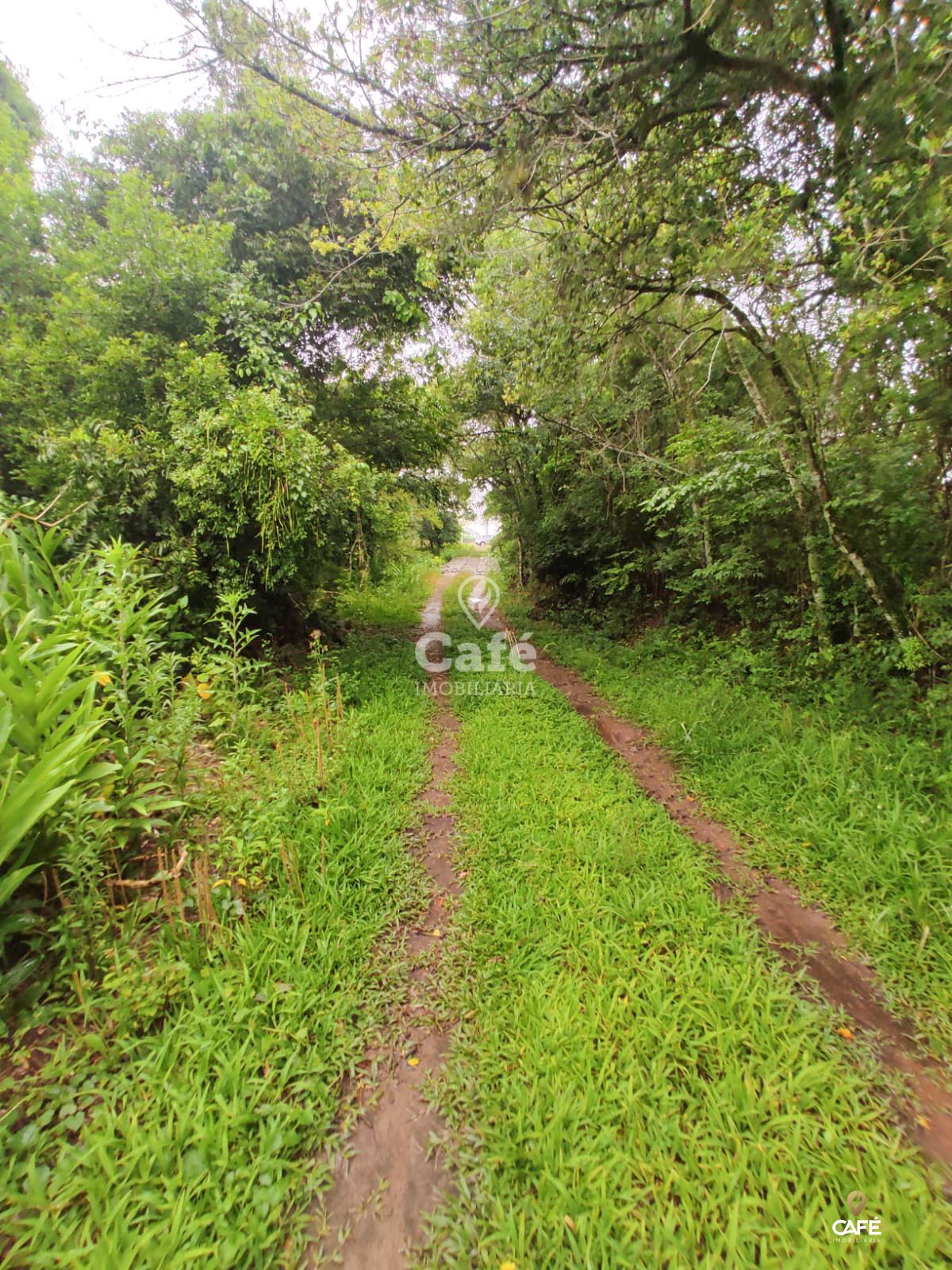 Terreno, 2534 m² - Foto 1