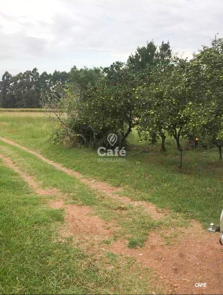 Fazenda à venda com 4 quartos, 108m² - Foto 3