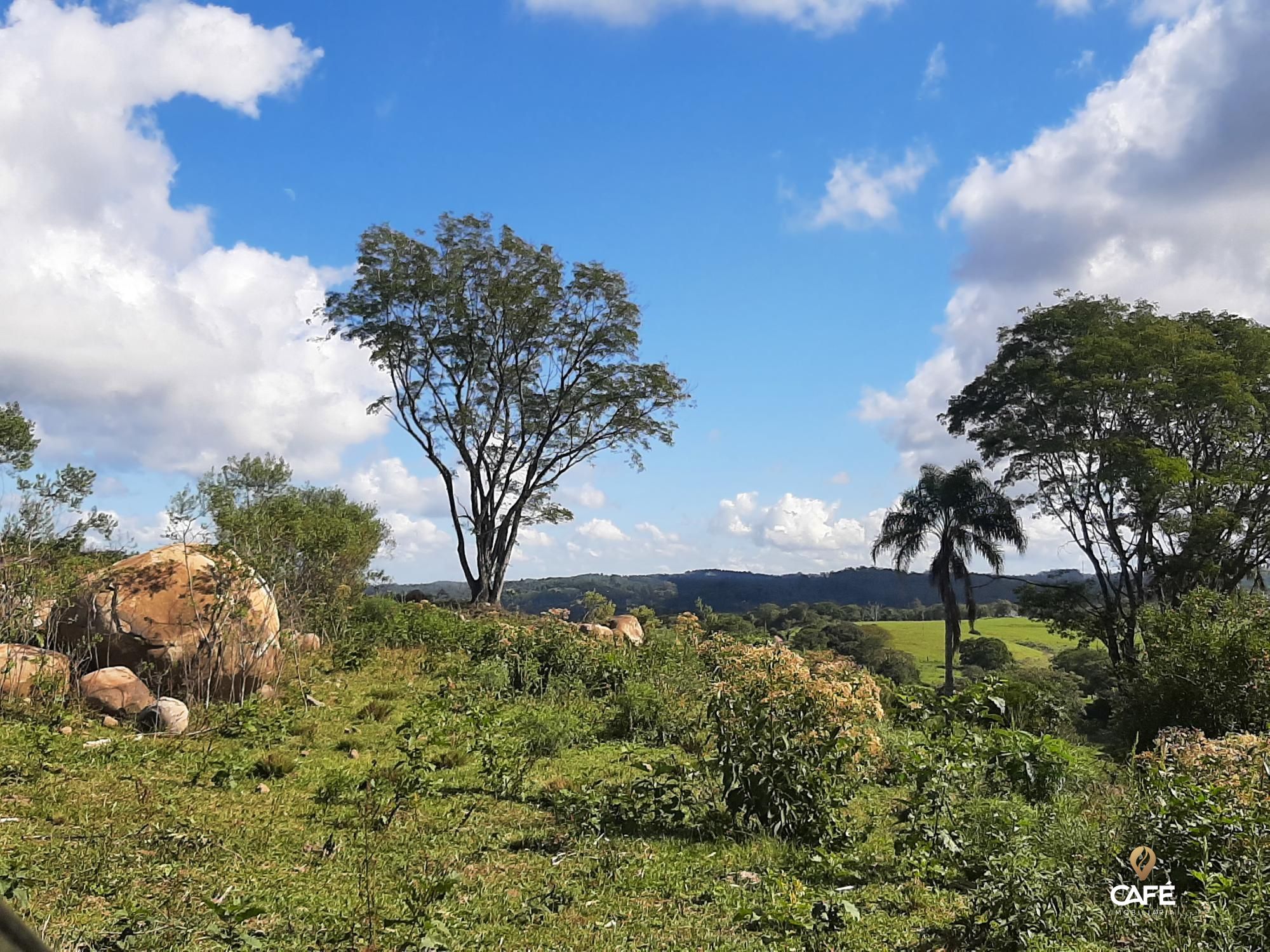 Loteamento e Condomínio à venda, 400000000m² - Foto 11