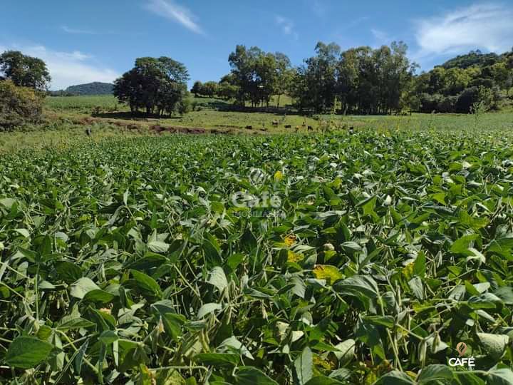 Loteamento e Condomínio à venda, 13000m² - Foto 9