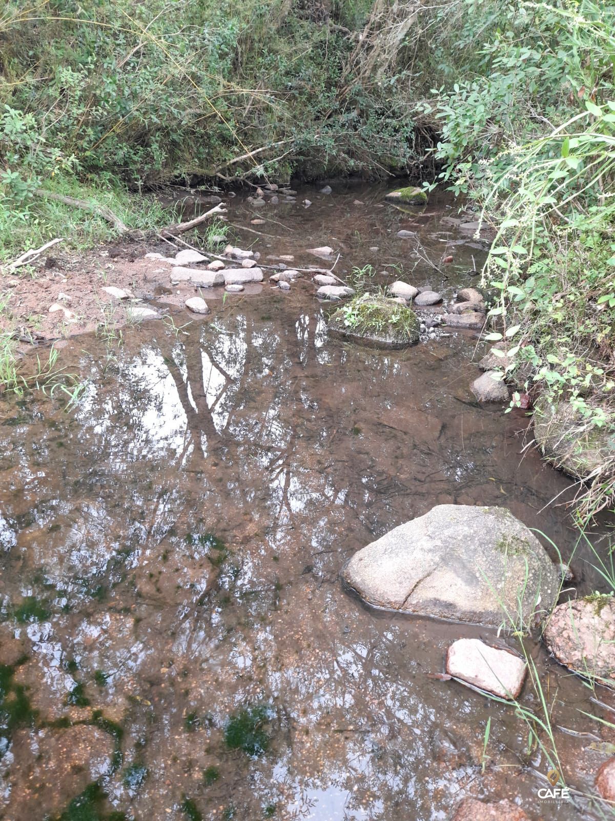 Fazenda à venda com 2 quartos, 100m² - Foto 4