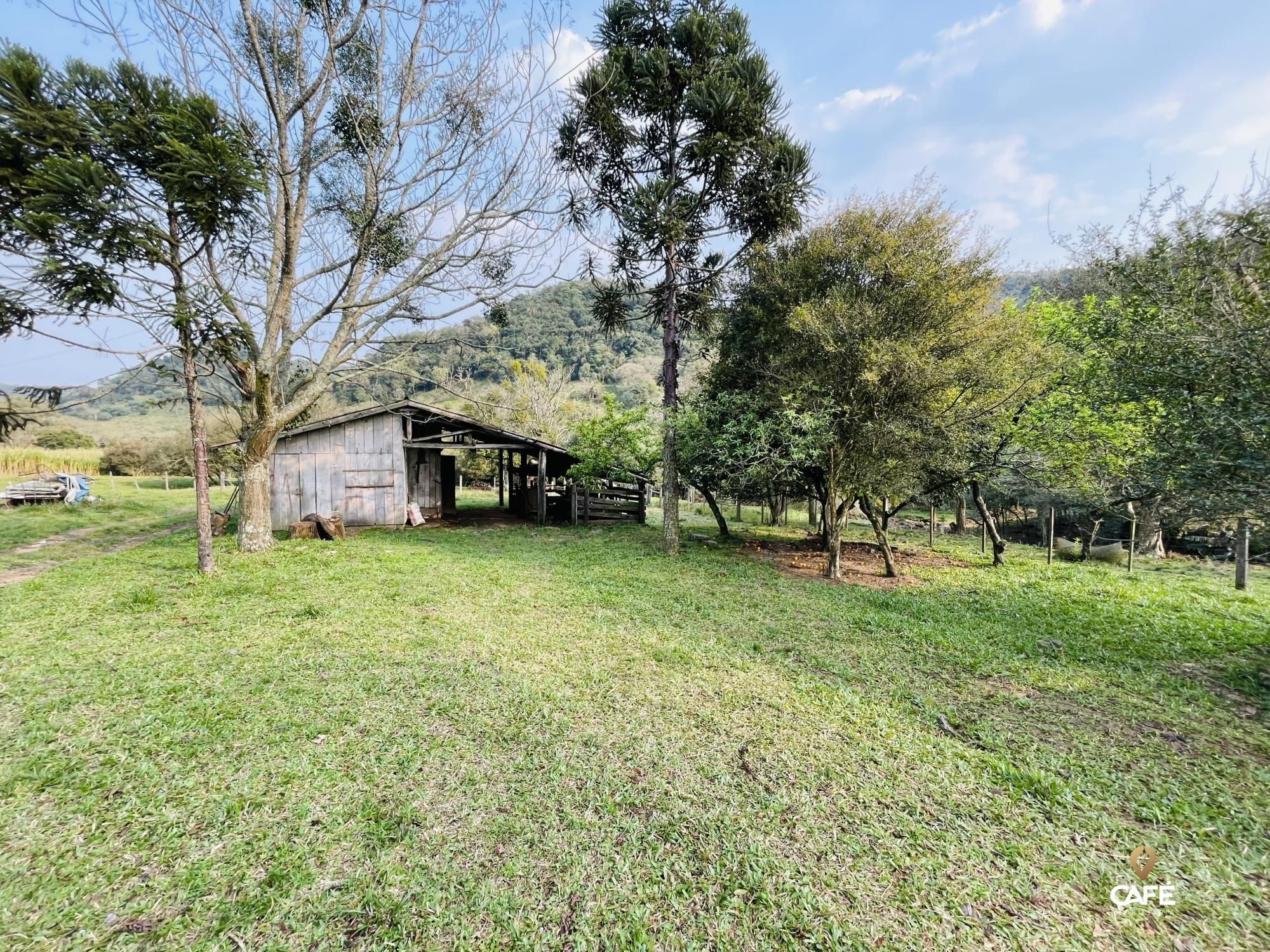 Fazenda à venda com 4 quartos, 240000m² - Foto 35