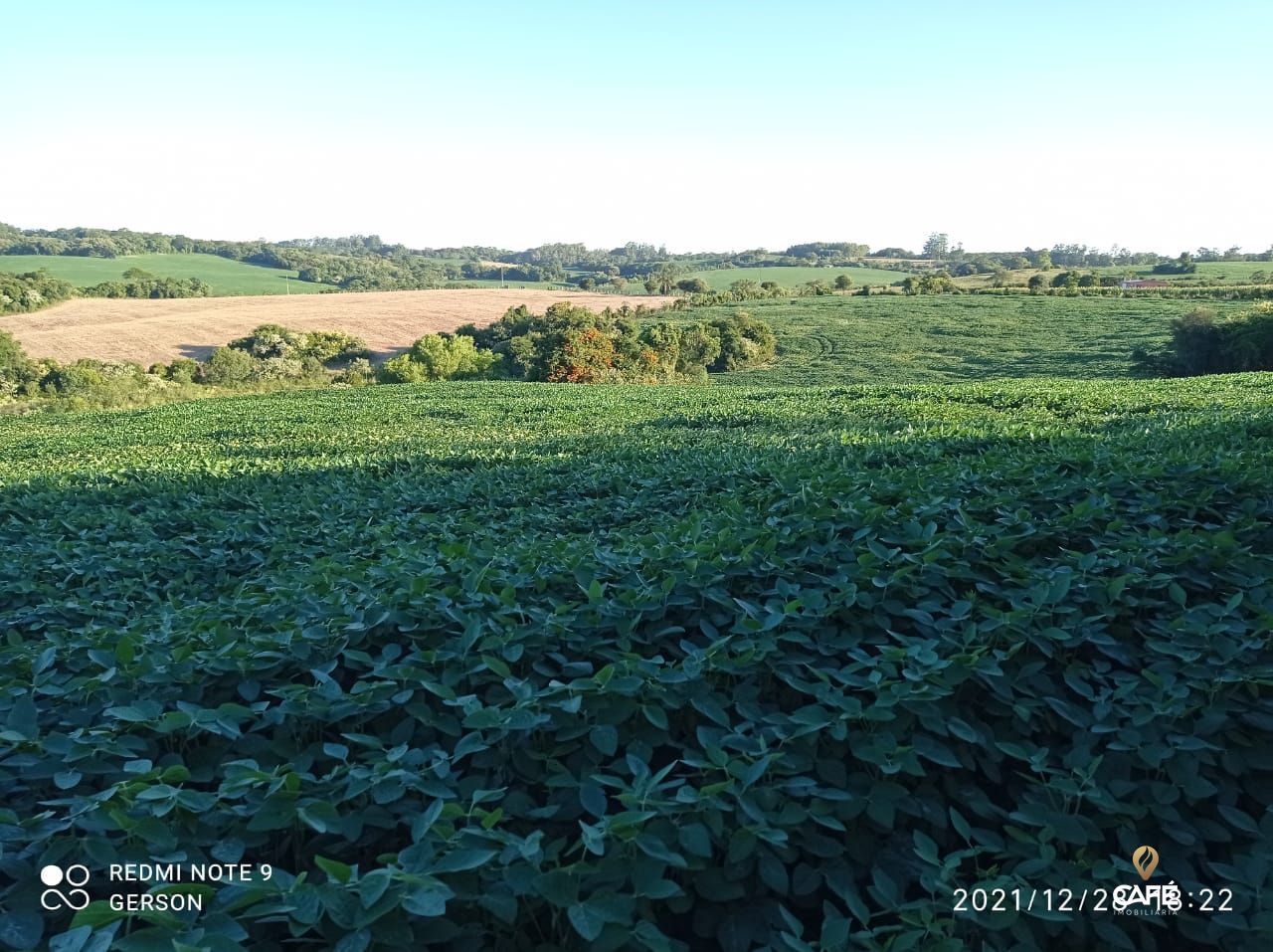 Fazenda à venda, 580000000m² - Foto 3