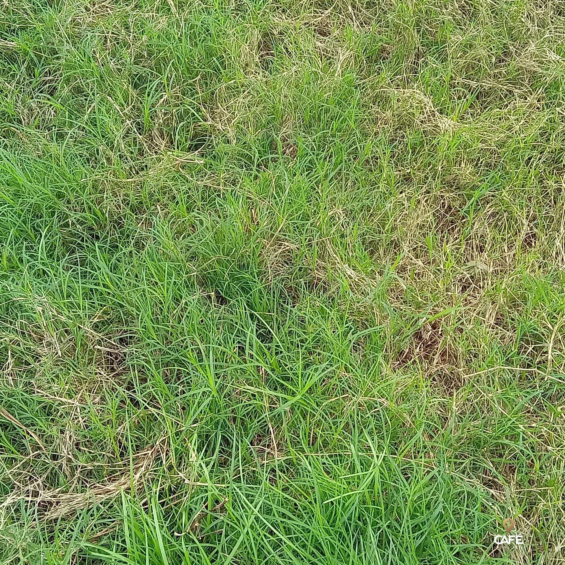 Loteamento e Condomínio, 1520000 hectares - Foto 18