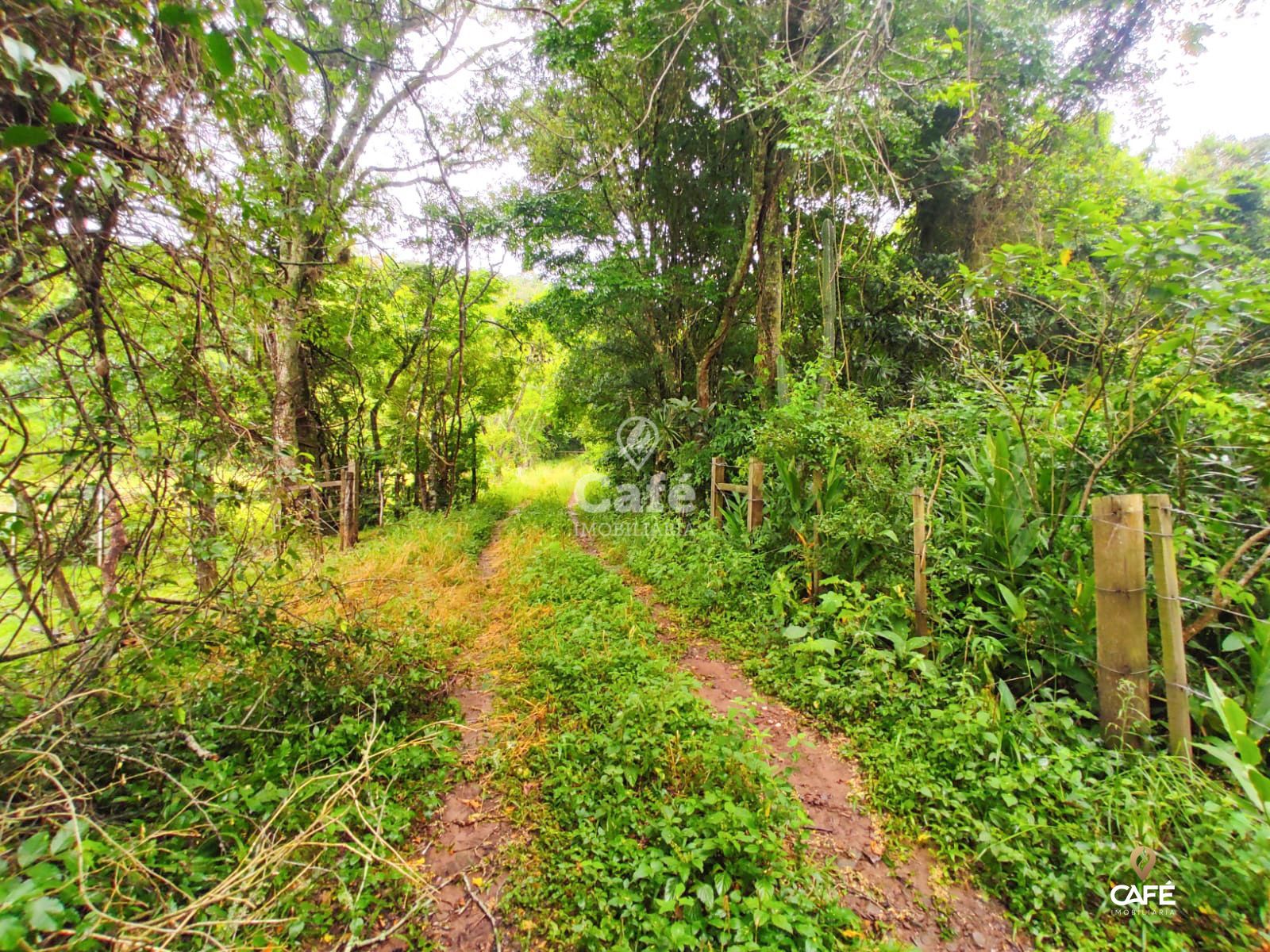 Terreno, 2534 m² - Foto 4