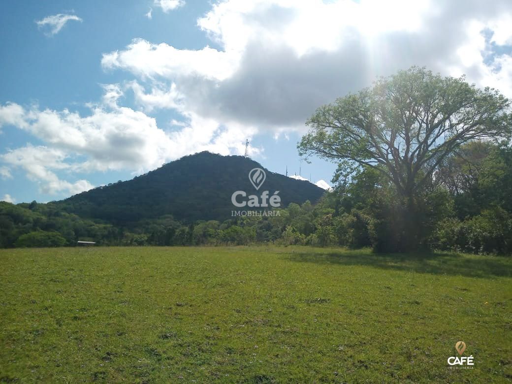 Terreno, 2 hectares - Foto 4