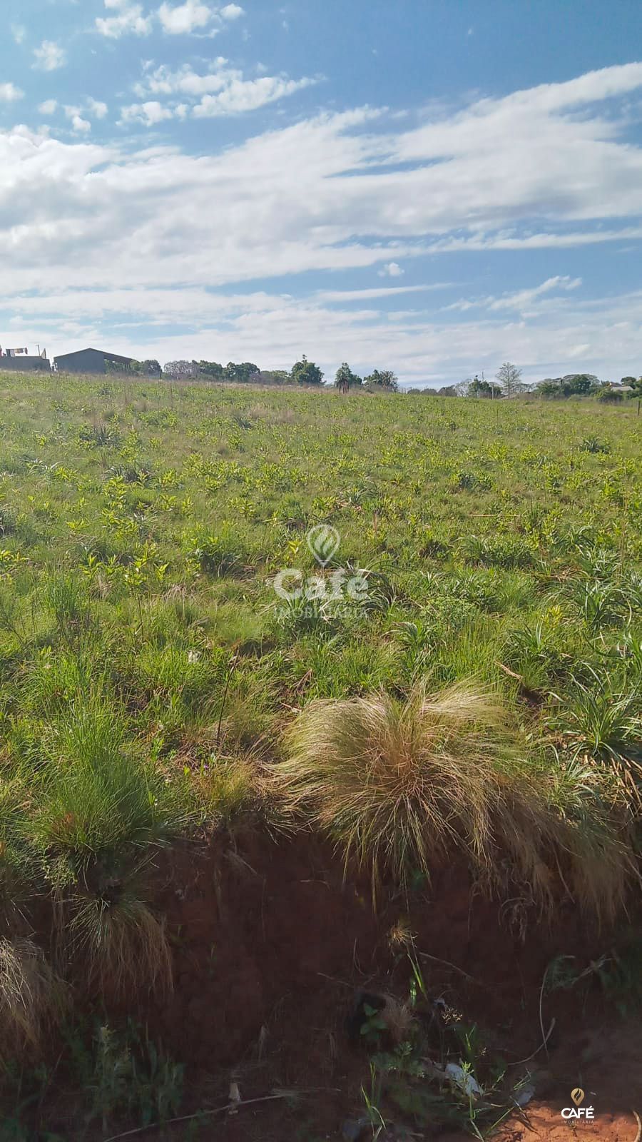 Terreno, 662 m² - Foto 3