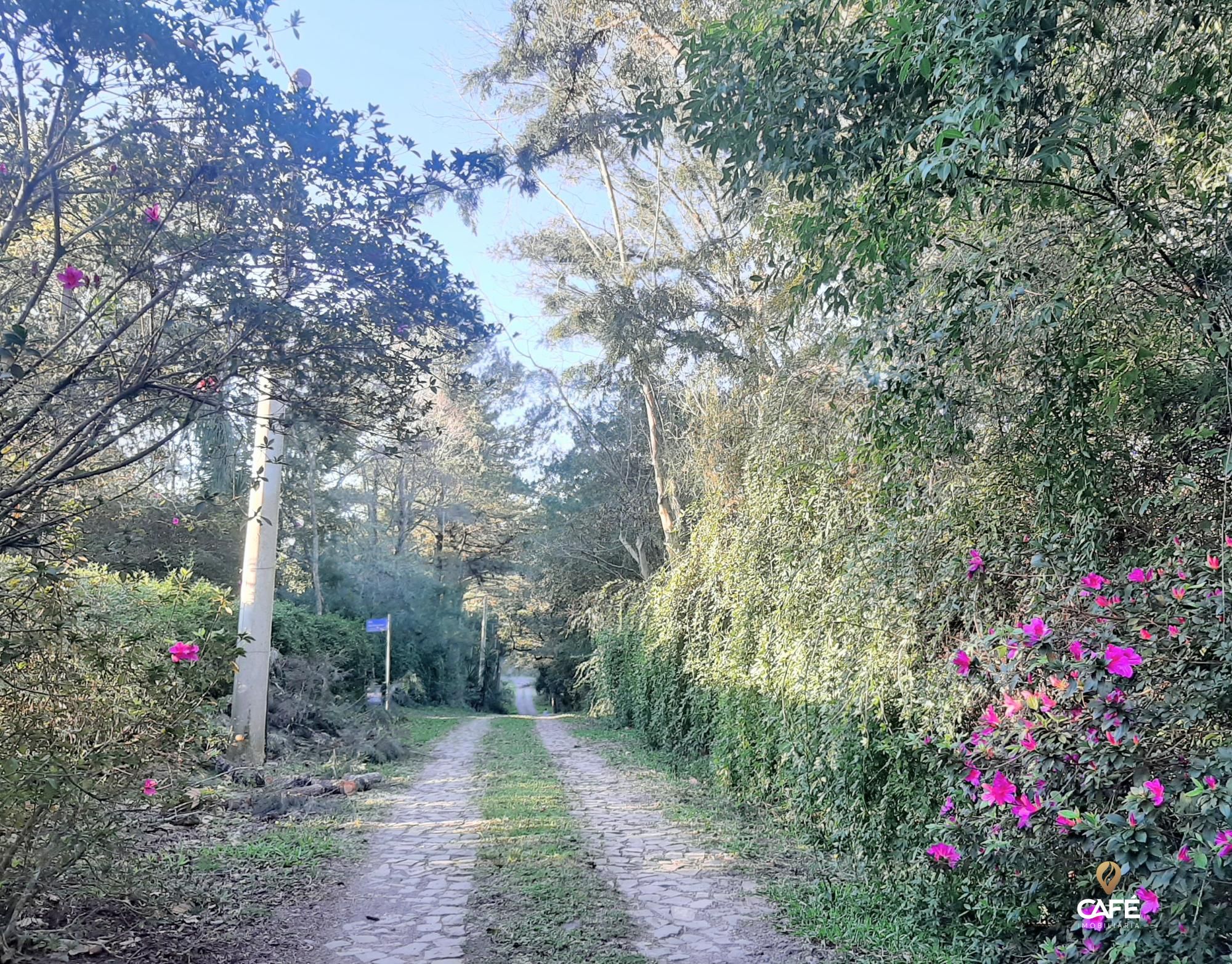 Terreno, 2000 m² - Foto 6