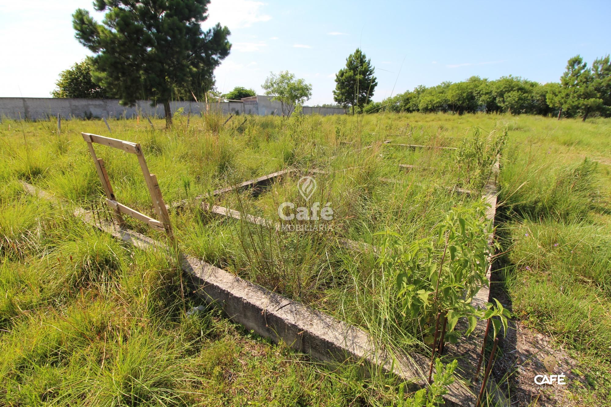 Terreno, 1 hectares - Foto 6