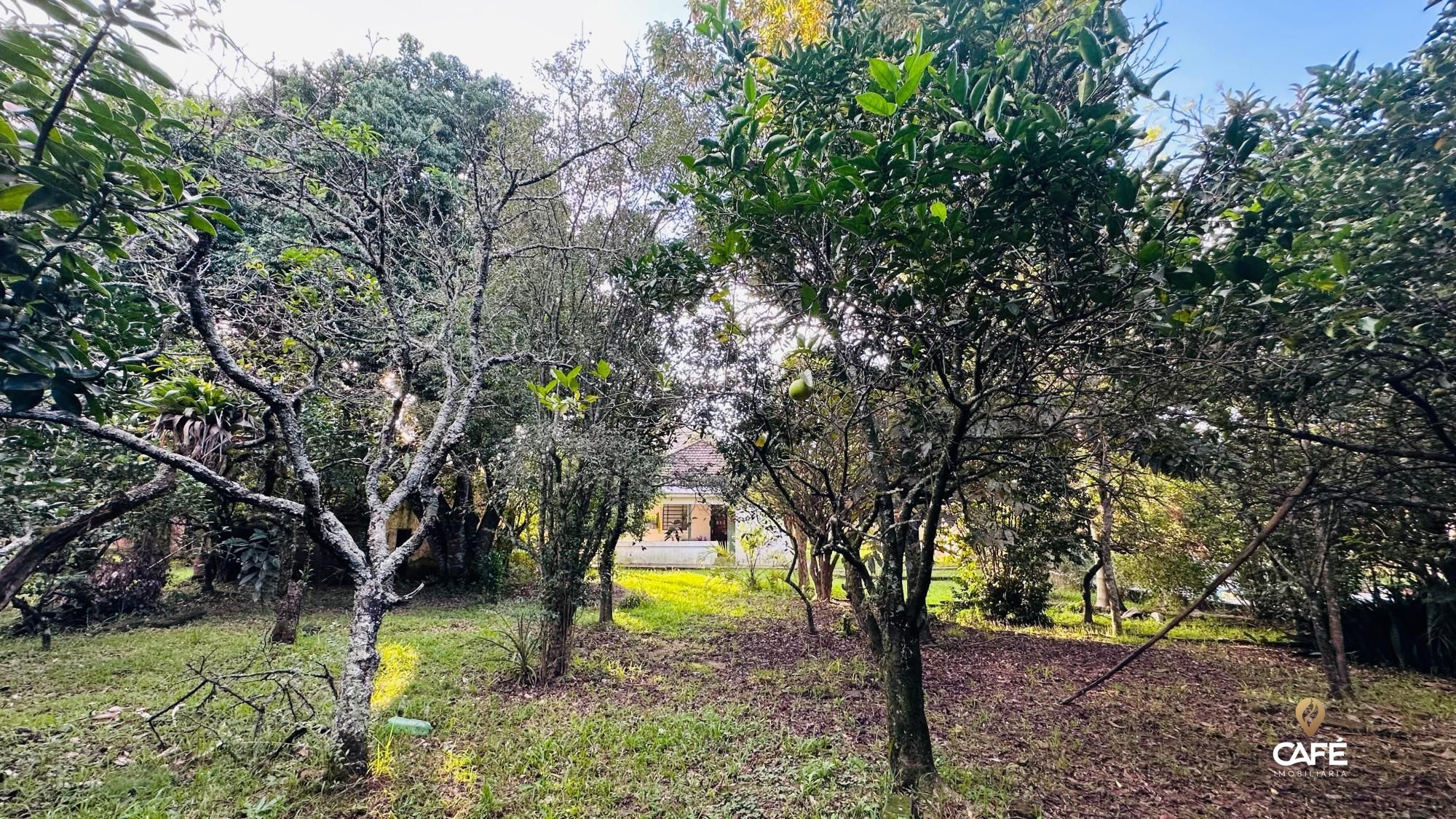 Casa, 4 quartos, 120 m² - Foto 8