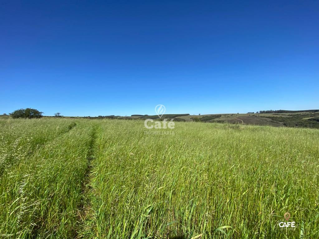 Loteamento e Condomínio, 42 hectares - Foto 4