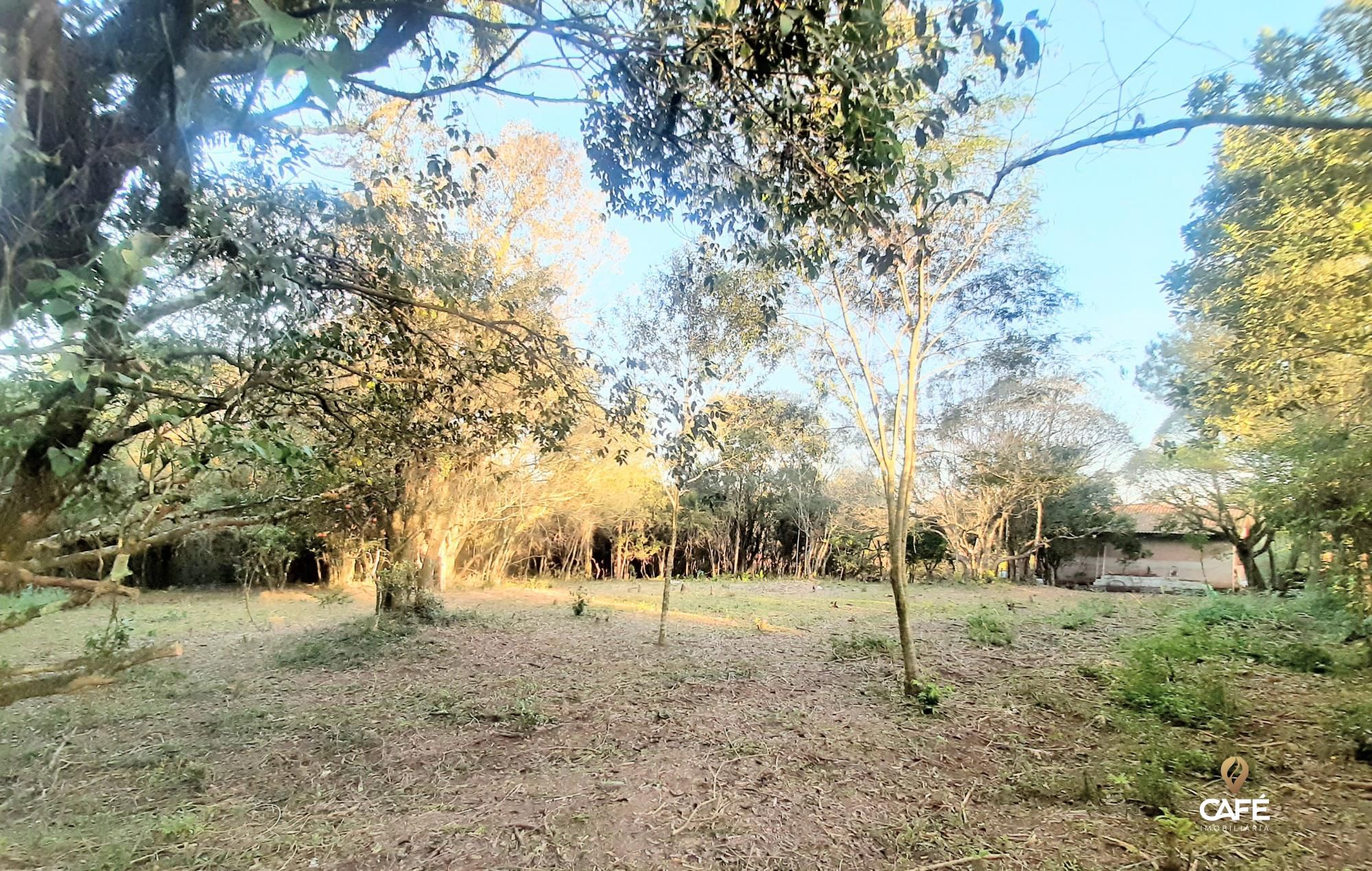 Terreno, 2000 m² - Foto 5