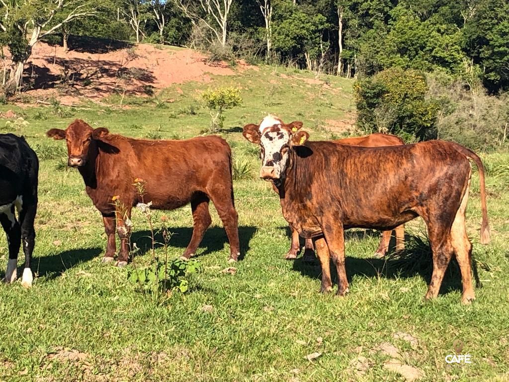 Loteamento e Condomínio à venda, 4800000000m² - Foto 8