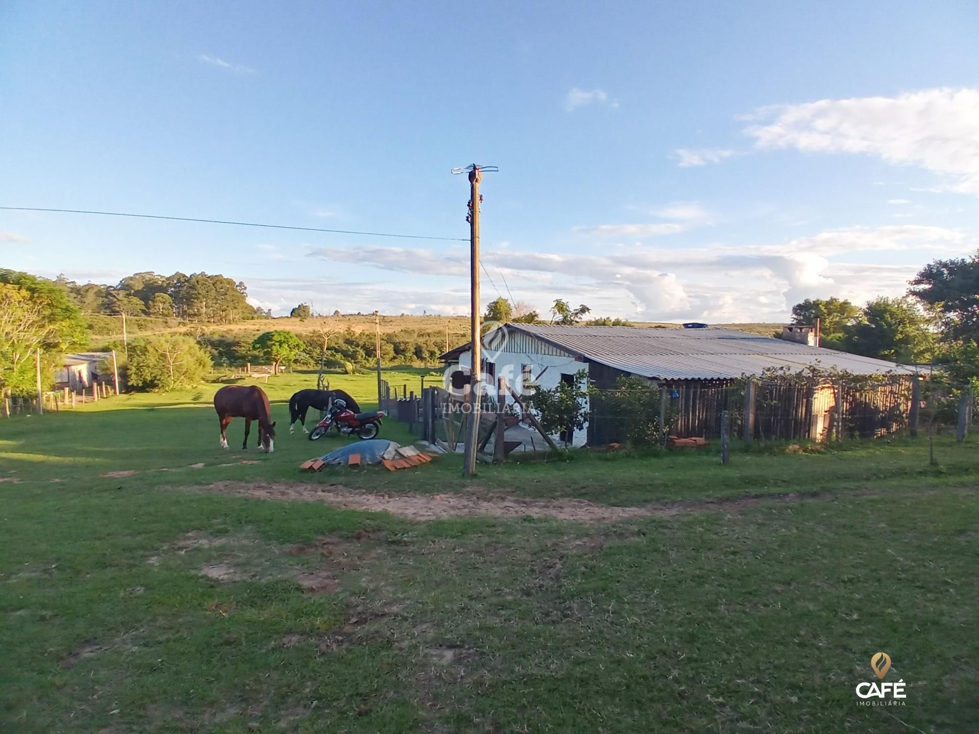 Fazenda à venda com 2 quartos, 350000000m² - Foto 12