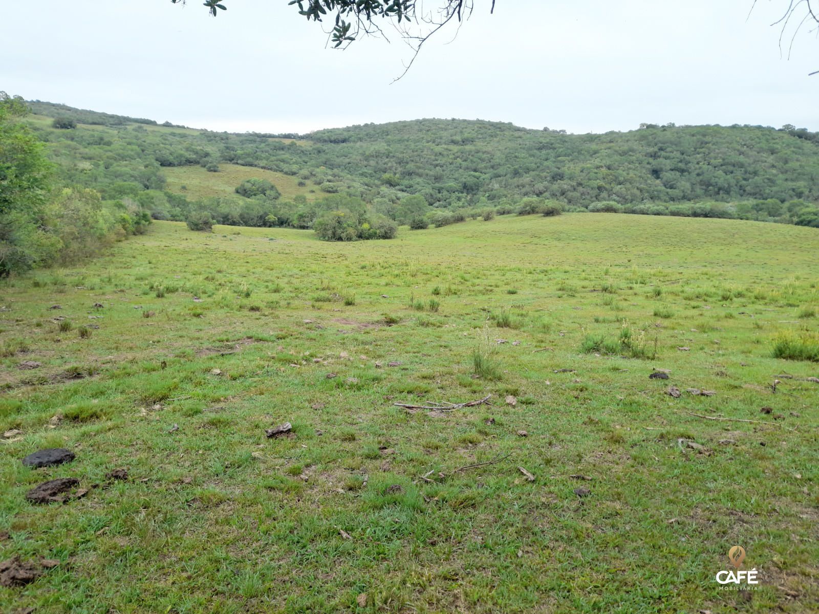 Fazenda à venda com 2 quartos, 100m² - Foto 1