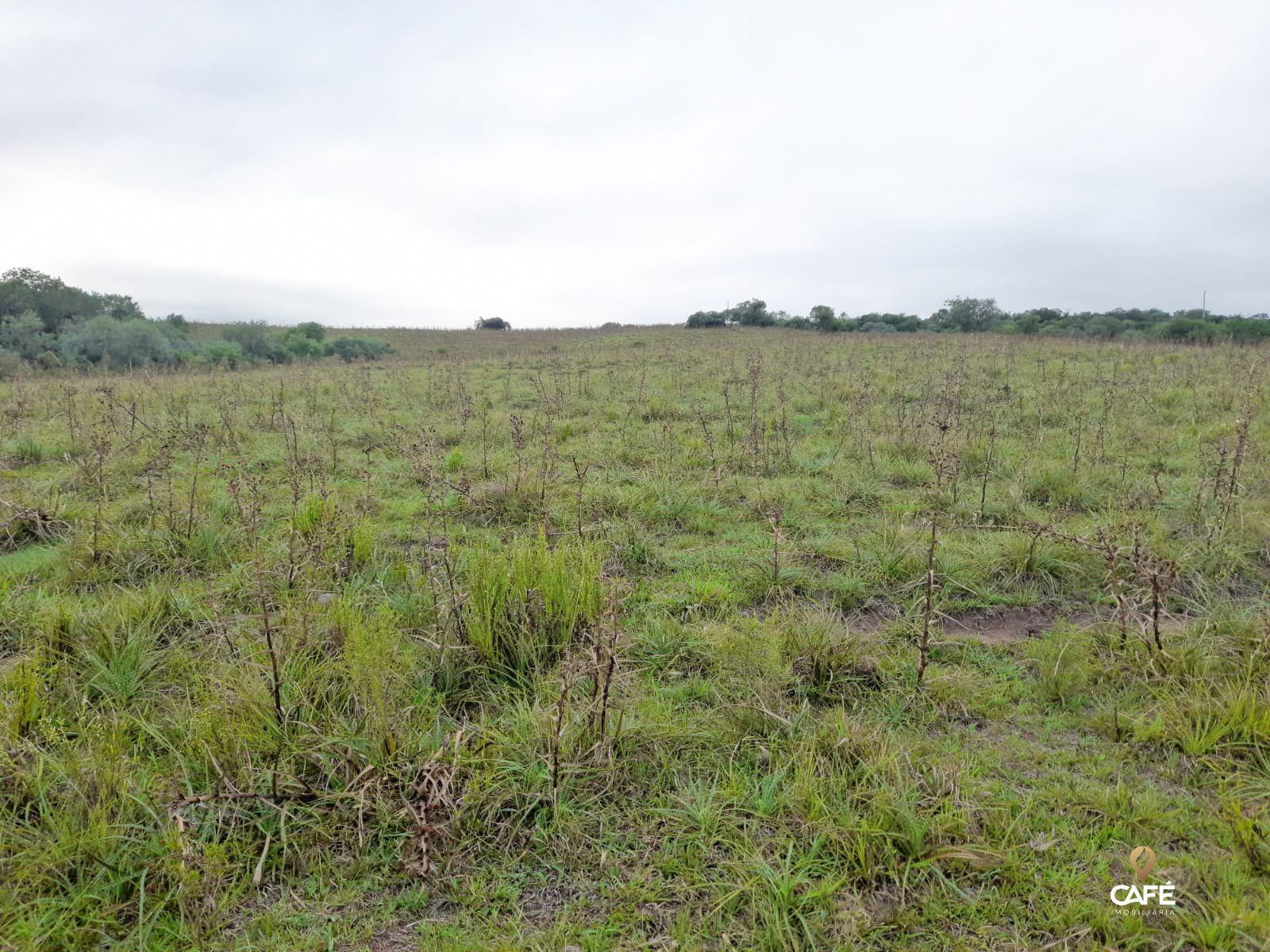 Fazenda à venda com 2 quartos, 100m² - Foto 11