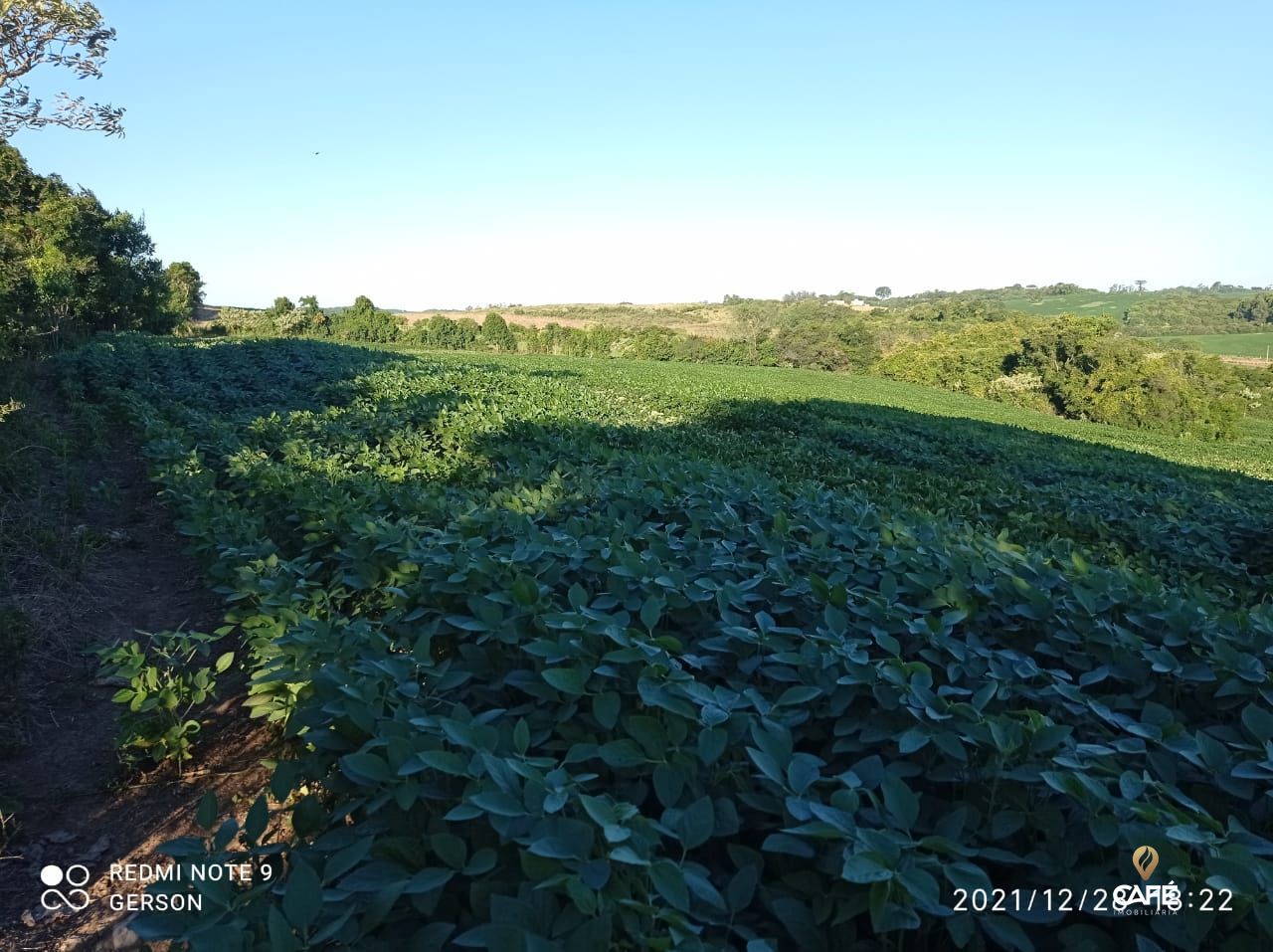 Fazenda à venda, 830000000m² - Foto 3