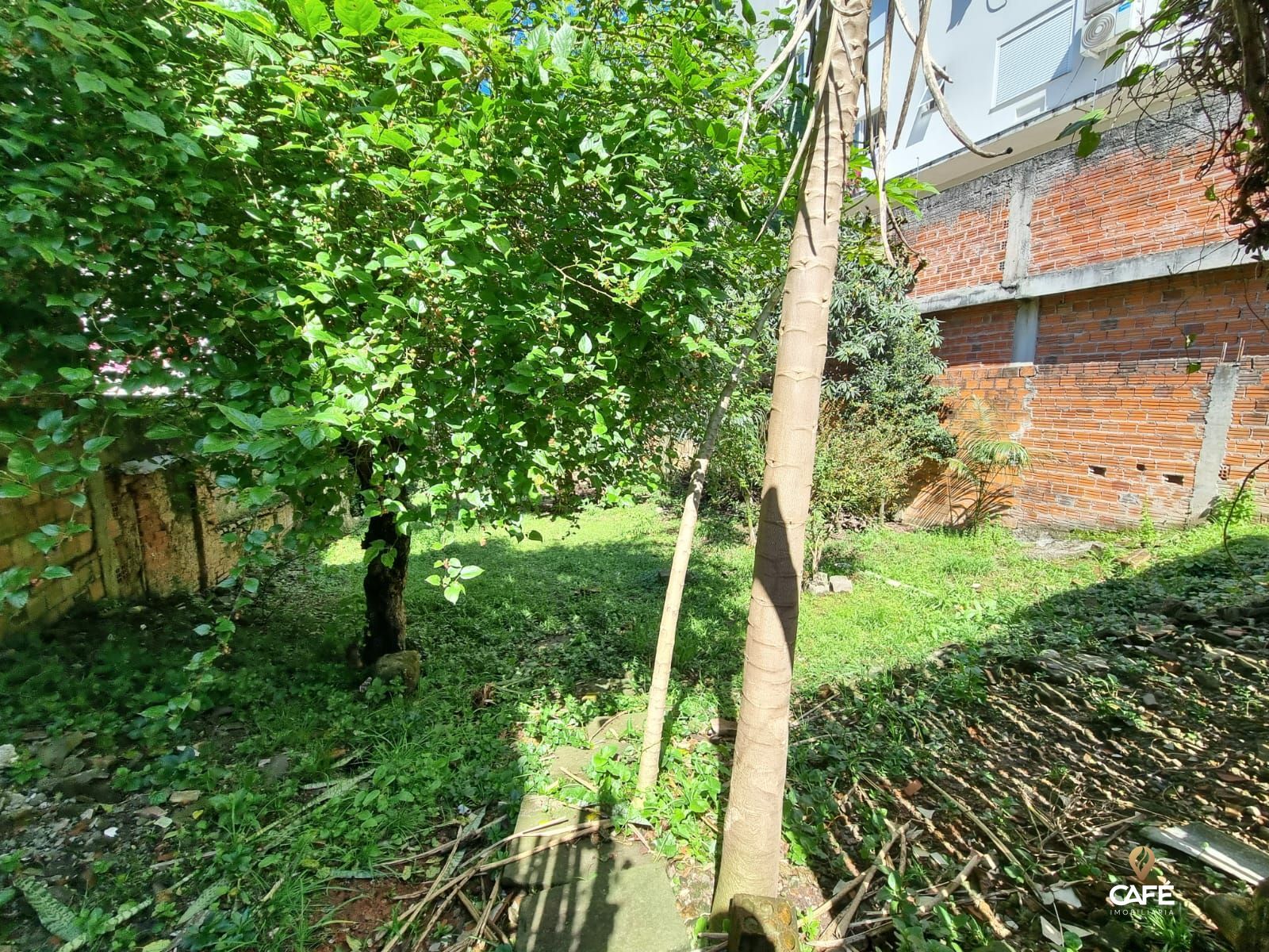 Casa, 3 quartos, 1152 m² - Foto 6