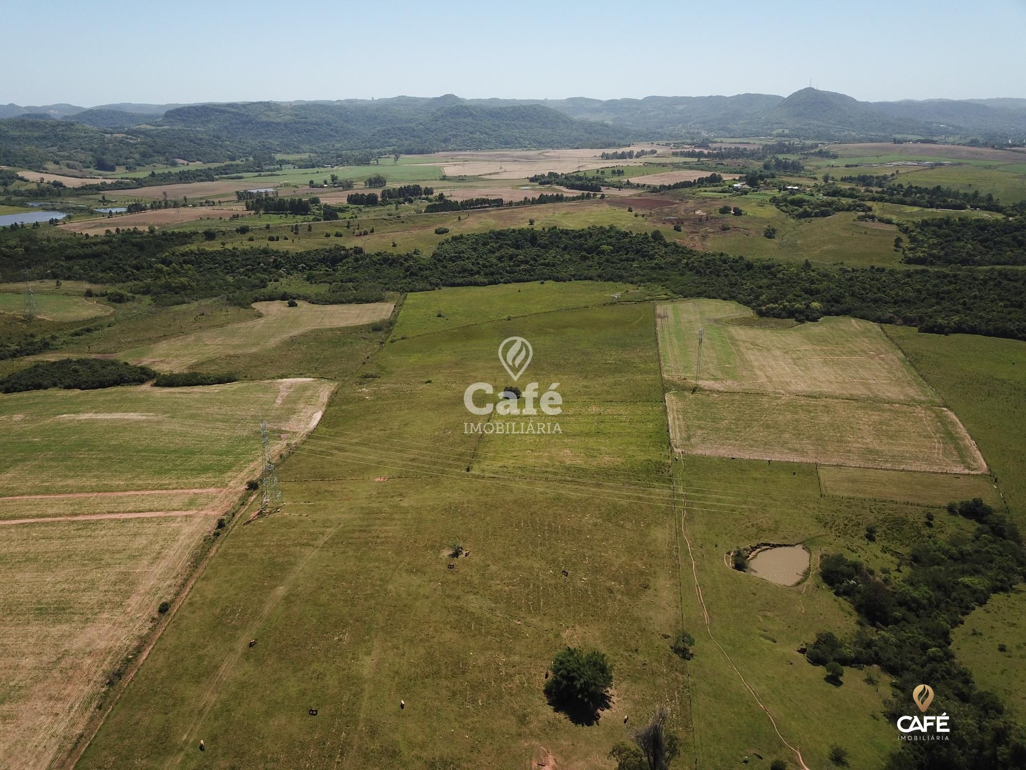 Fazenda à venda com 2 quartos, 180000m² - Foto 7