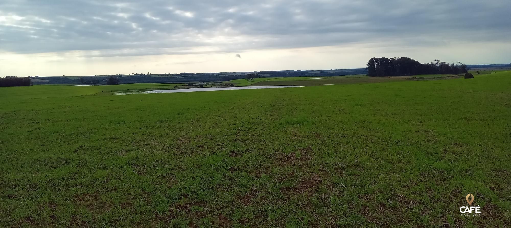 Loteamento e Condomínio, 1520000 hectares - Foto 13