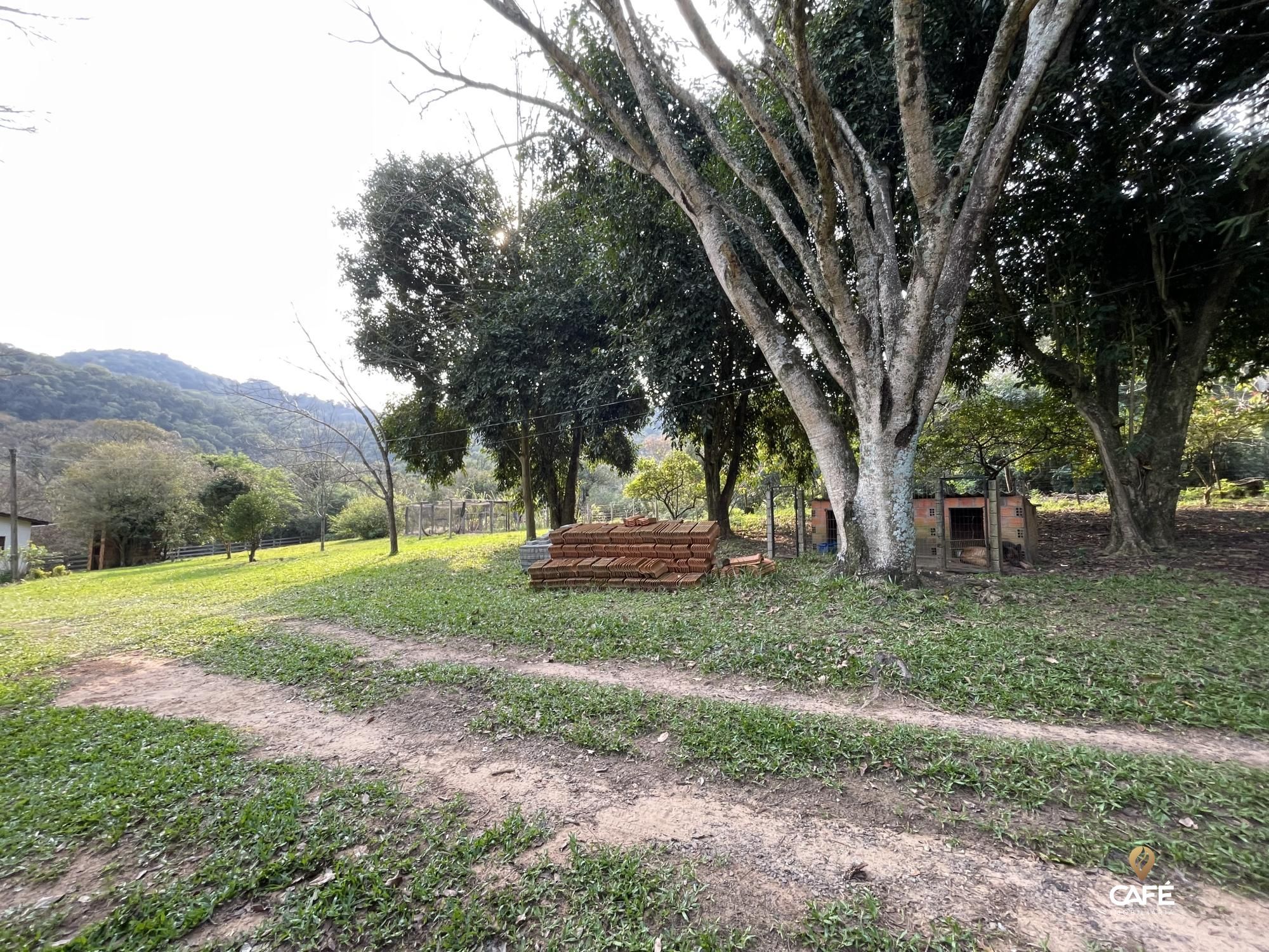 Fazenda à venda com 4 quartos, 240000m² - Foto 20