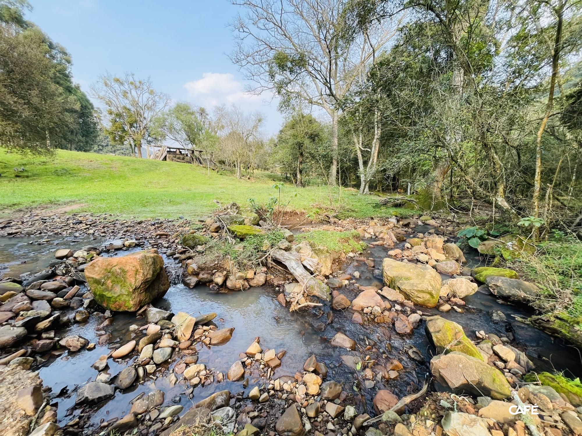 Fazenda à venda com 4 quartos, 240000m² - Foto 40