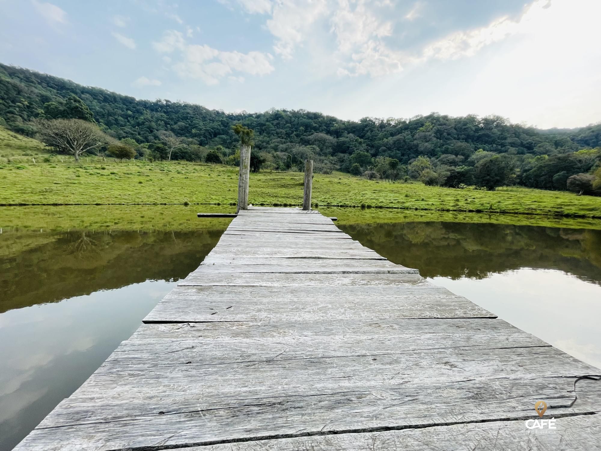 Fazenda à venda com 4 quartos, 240000m² - Foto 42