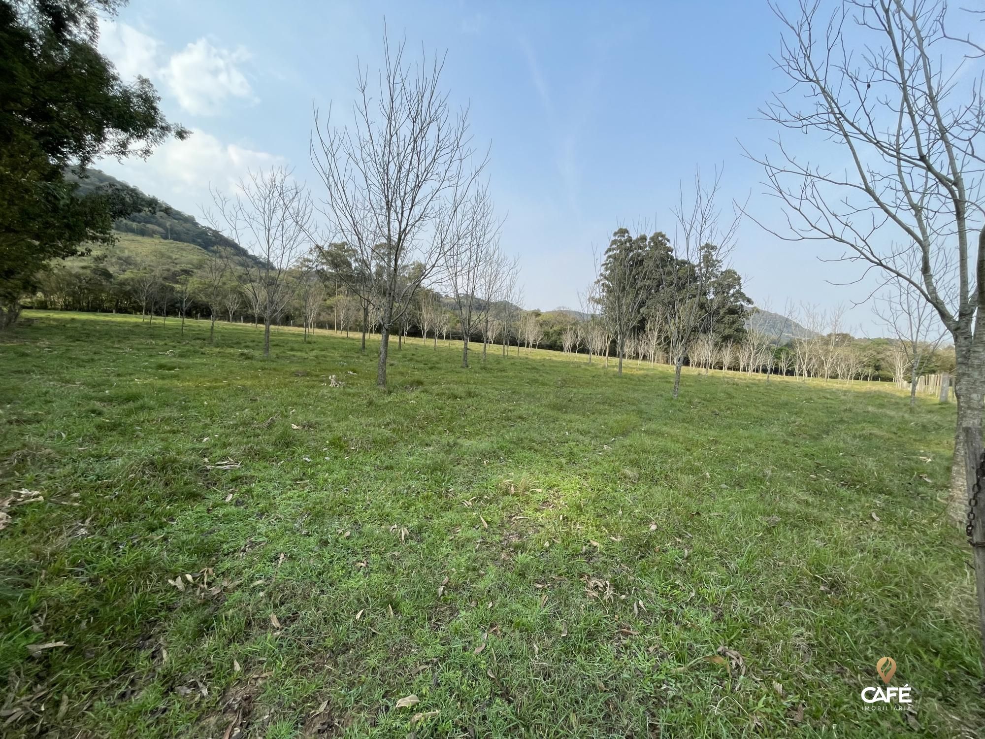 Fazenda à venda com 4 quartos, 240000m² - Foto 50