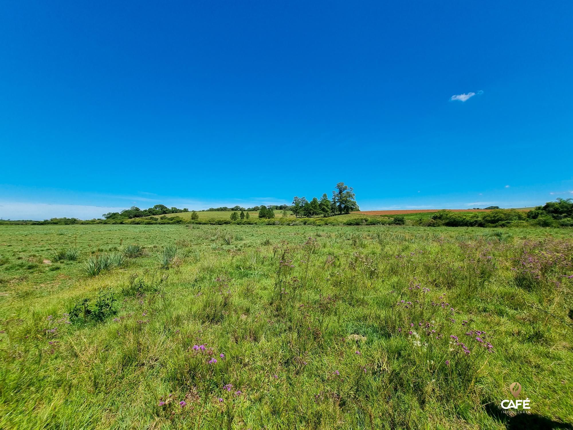 Loteamento e Condomínio à venda, 500000000m² - Foto 2