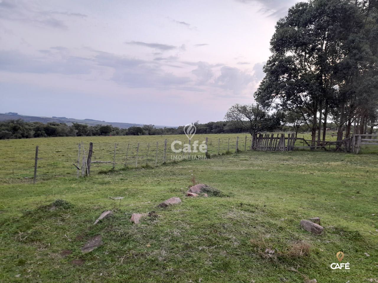 Chácara, 3 quartos, 63000 hectares - Foto 6