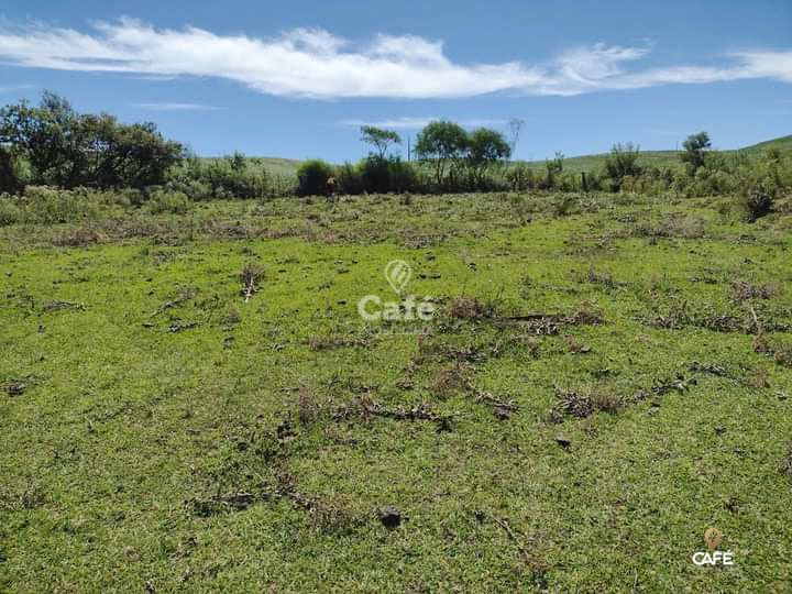 Loteamento e Condomínio à venda, 13000m² - Foto 7