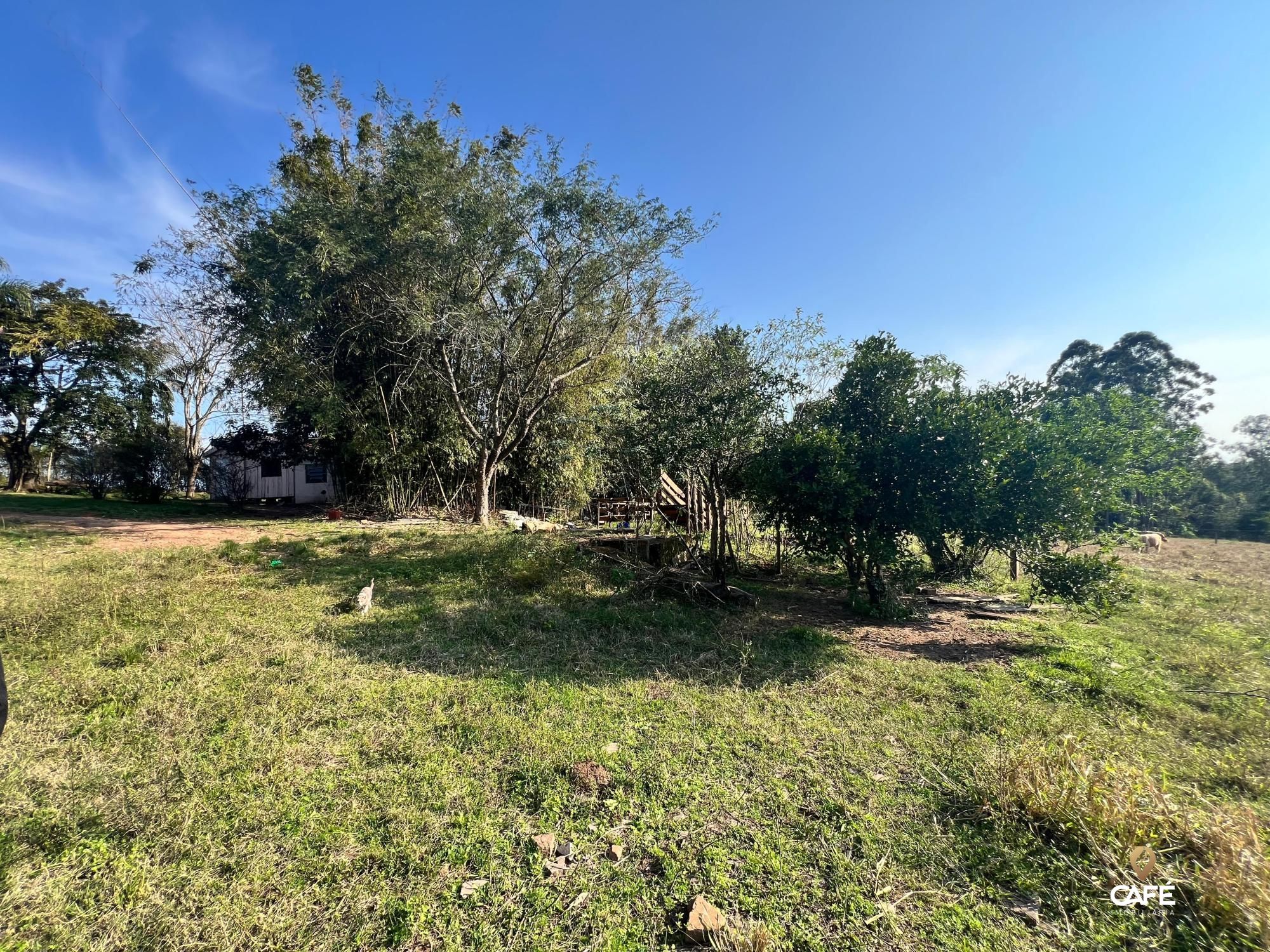 Chácara, 4 hectares - Foto 2