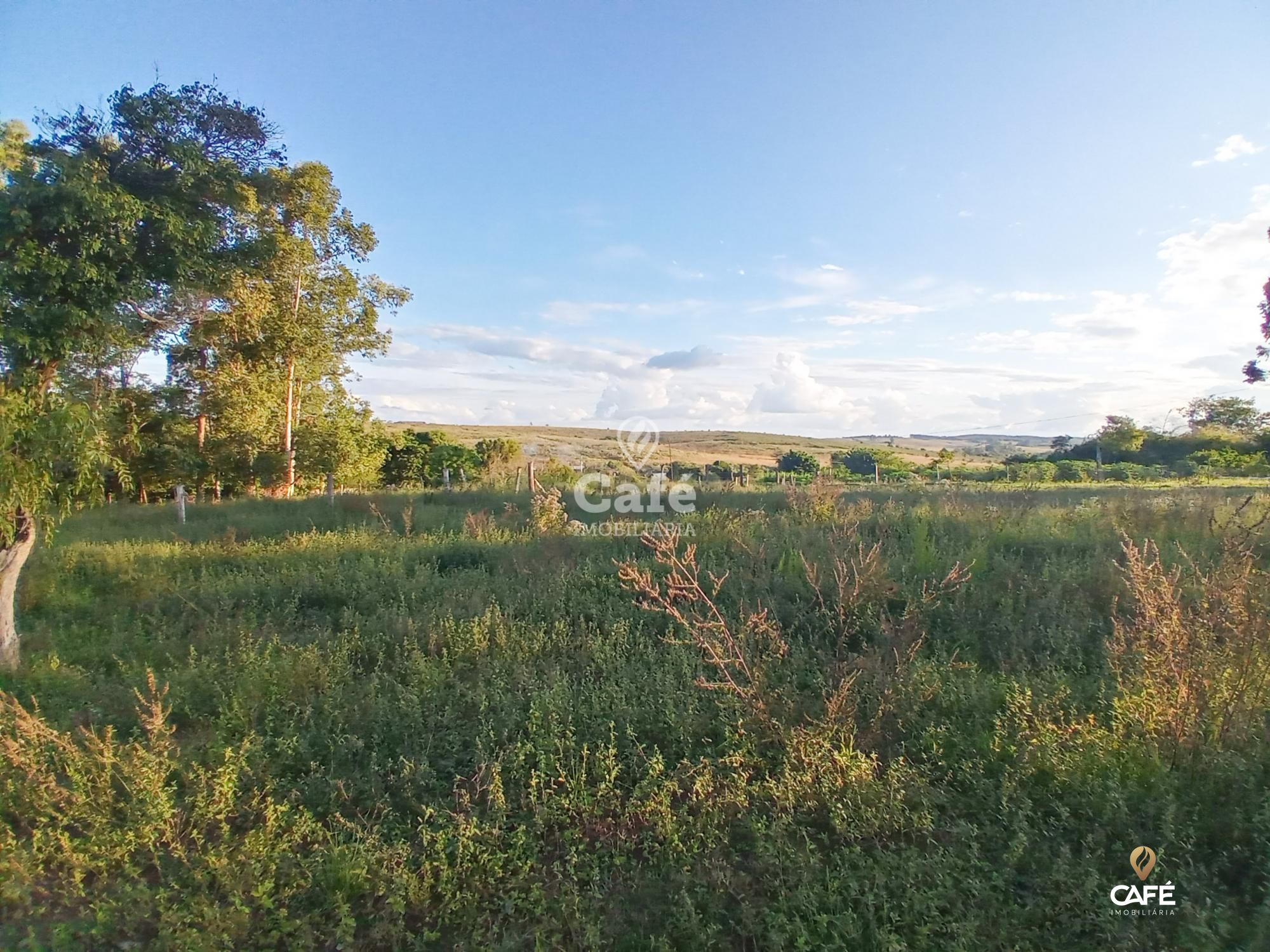 Fazenda à venda com 2 quartos, 350000000m² - Foto 6