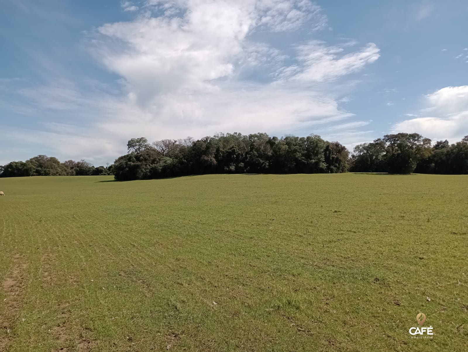 Loteamento e Condomínio à venda, 1100000000m² - Foto 5