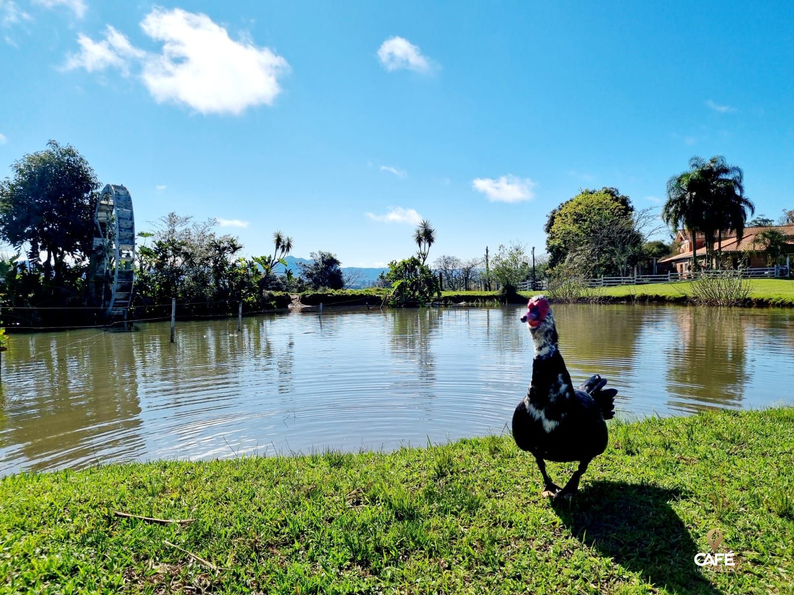 Fazenda à venda com 3 quartos, 200m² - Foto 15