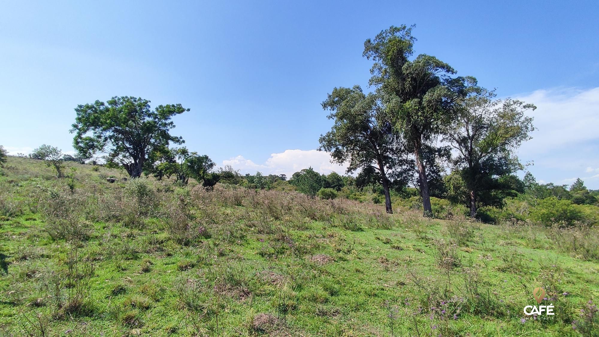 Loteamento e Condomínio, 165200 hectares - Foto 9