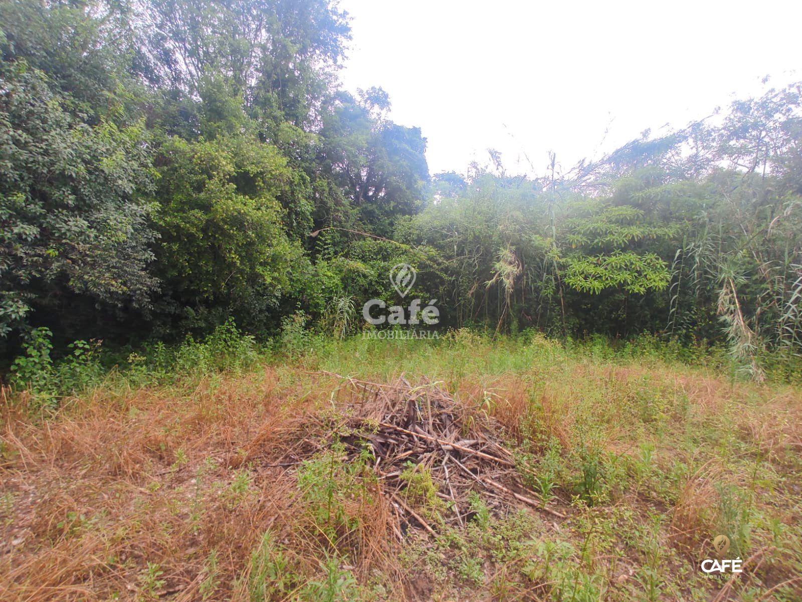 Terreno, 2534 m² - Foto 10