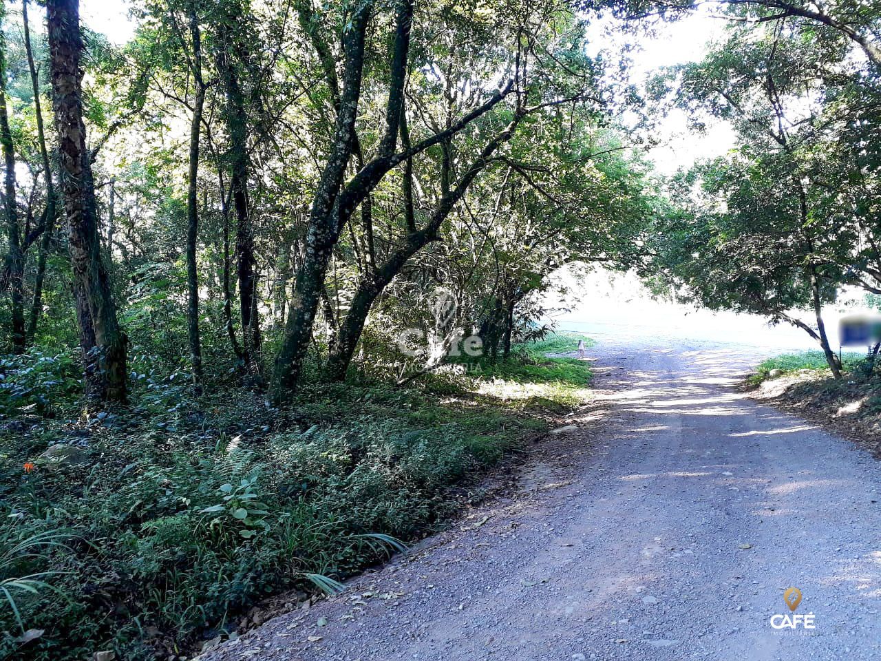 Terreno à venda, 1000m² - Foto 5